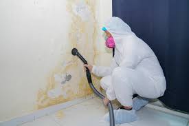 Best Mold Removal for HVAC Installations  in Pennsburg, PA